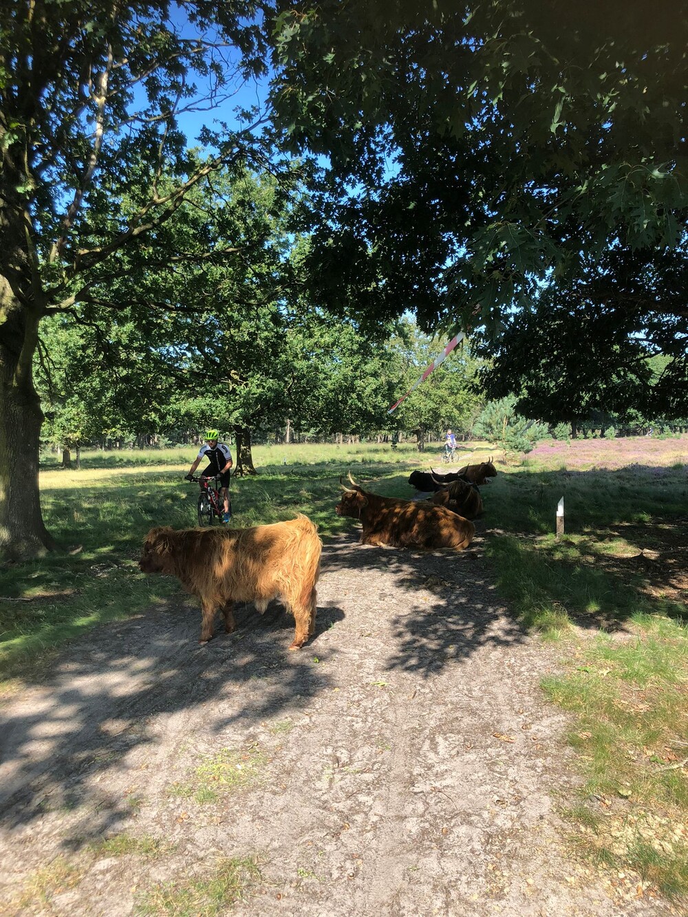 Herfstveldtourtocht 5 september 2021