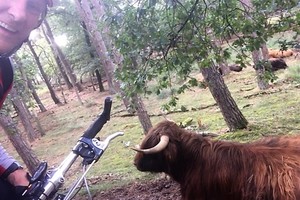 Herfst veldtourtocht