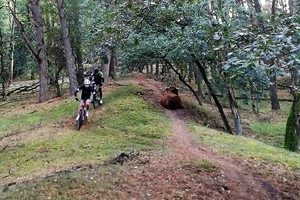 Herfst veldtourtocht