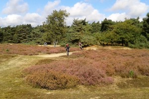 Herfst veldtourtocht