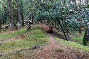 Herfst veldtourtocht