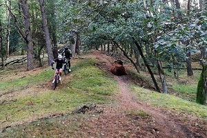 Herfst veldtourtocht