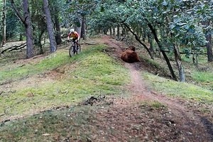 Herfst veldtourtocht