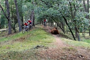 Herfst veldtourtocht