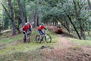 Herfst veldtourtocht