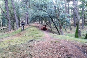 Herfst veldtourtocht