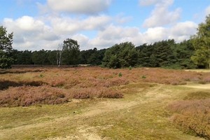 Herfst veldtourtocht