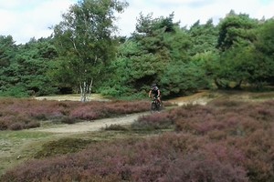 Herfst veldtourtocht