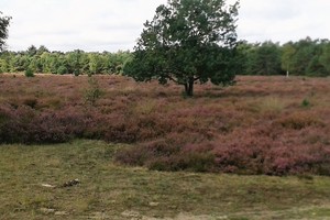 Herfst veldtourtocht