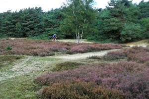 Herfst veldtourtocht