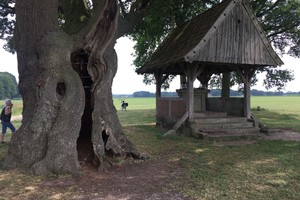 Fietsweekend Vasse 2018