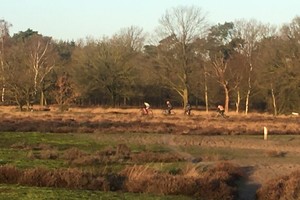 Winterveldtourtocht 2019