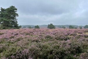 Fietsweekend Brummen 2023