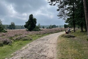 Fietsweekend Brummen 2023