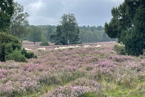 Fietsweekend Brummen 2023