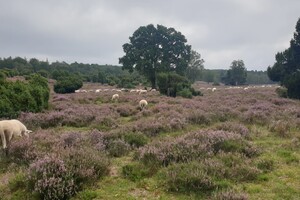Fietsweekend Brummen 2023