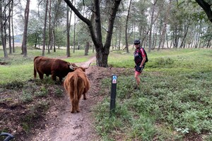Fietsweekend Brummen 2023