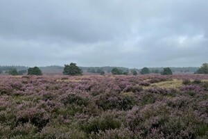 Fietsweekend Brummen 2023
