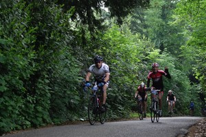 Ronde van Nijmegen