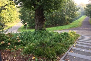 Aussichtsturm in Kleve