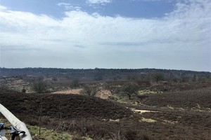 De ronde van Arnhem