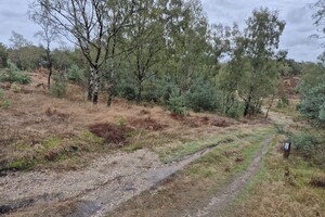 Fietsweekend 2026 Putten