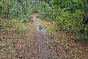 Fietsweekend 2026 Putten