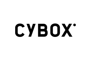 Cybox webdesign Boxmeer